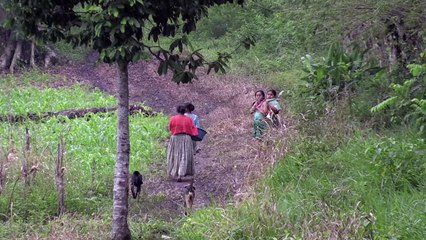 A dor da família da menina guatemalteca morta nos EUA