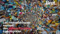 Les scientifiques alertent sur l'omniprésence des microplastiques