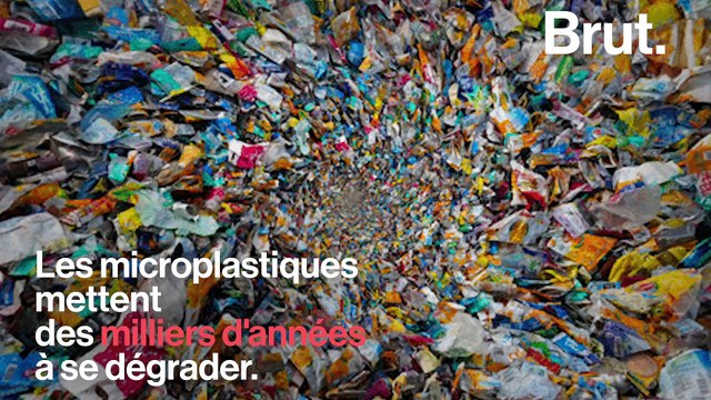 Les scientifiques alertent sur l'omniprésence des microplastiques