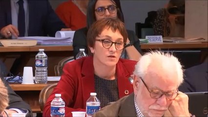 Céline TONOT. Discussion générale (amendement à la rénovation énergétique des EHPAD). 17 décembre 2018