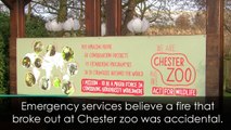 Thousands raised after Chester Zoo fire