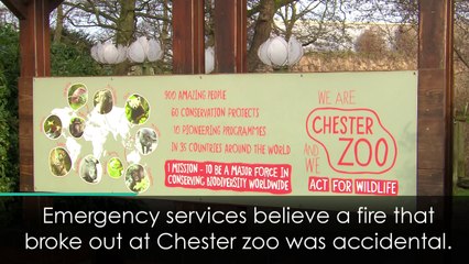 Thousands raised after Chester Zoo fire