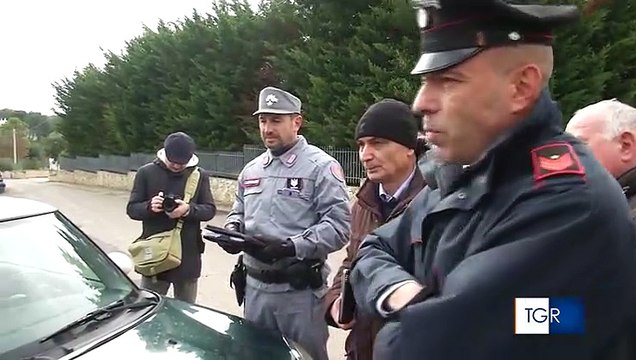 Puglia: Senatore M5S ribelle blocca gli abbattimenti degli ulivi: gli alberi si curano, non si tagliano