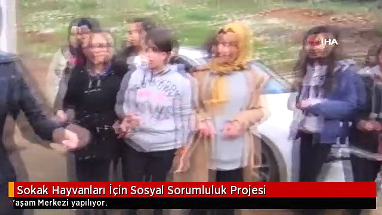 Sokak Hayvanları İçin Sosyal Sorumluluk Projesi
