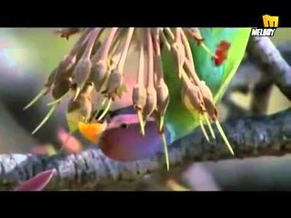 محمد الطوخي يا الله الحان محمد الطوخي