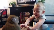monkey playing with cute baby. Very funny