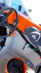 Pod of Orcas Ram Boat