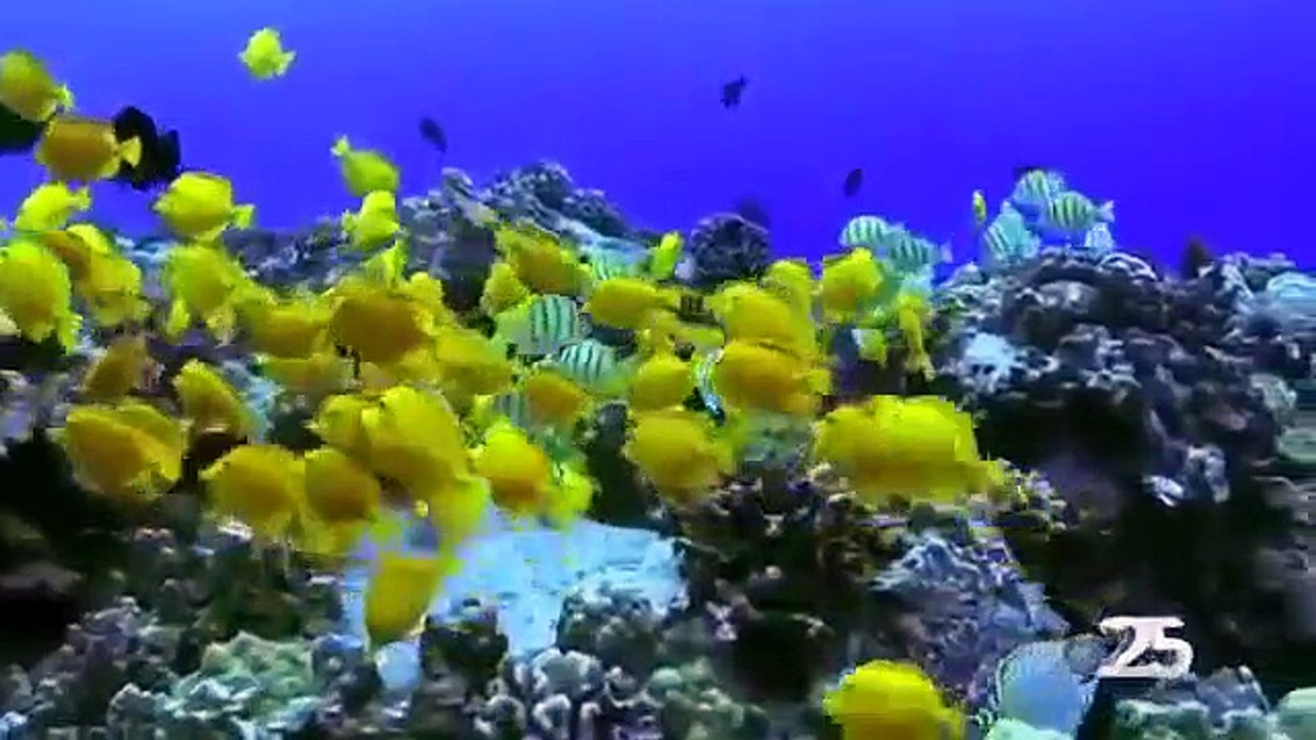 hawai travel