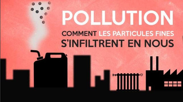Pollution : comment les particules fines s’infiltrent en nous