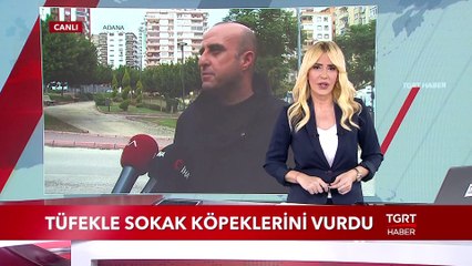 Tüfekle Sokak Köpeklerini Vurdu