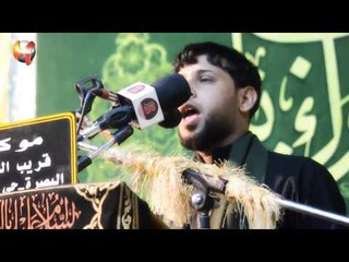 سيد فاقد الموسوي ll زينب و العباس ll فدوة اروحلك يا أبو قلب الحنين ll جديد (HD) حصريا