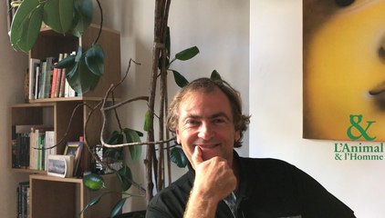 Interview 3 de Didier Van Cauwelaert : Que veut dire la danse des abeilles ?