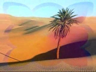 TILLMANN UHRMACHER - OM NAMA SHIVA