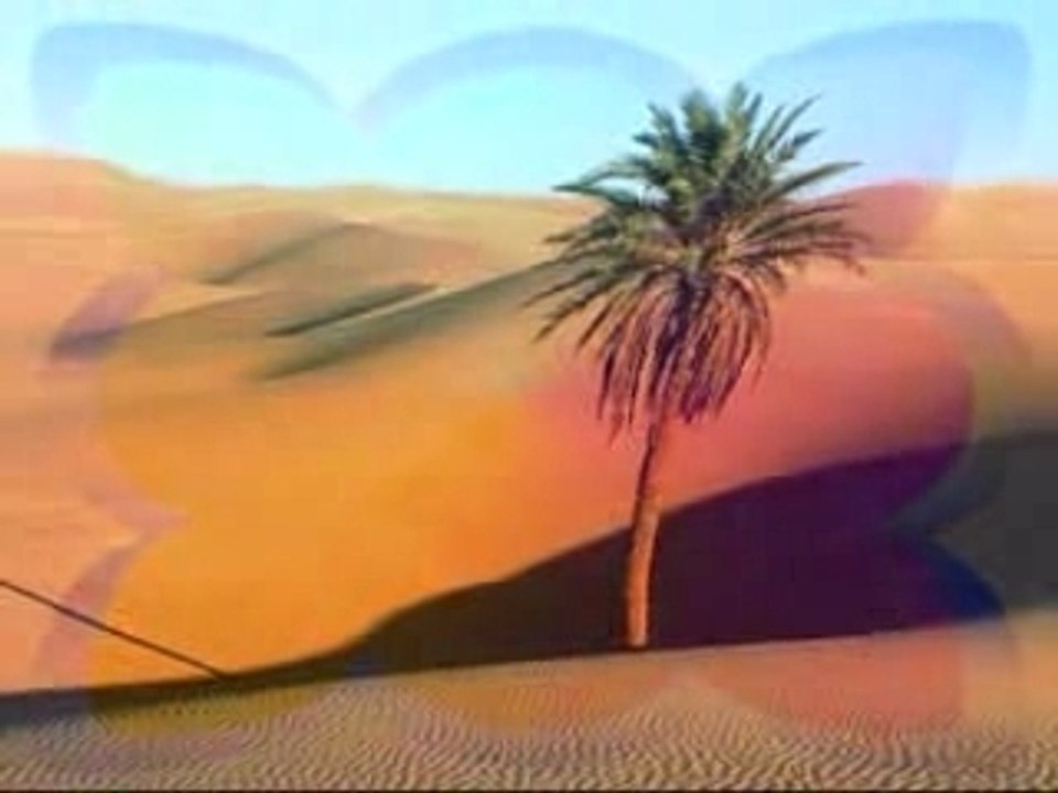 TILLMANN UHRMACHER - OM NAMA SHIVA