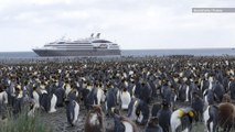 Tourists May Be Passing Human Diseases to Antarctic Penguins