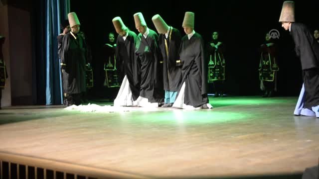 Şeb-i Arus Programı