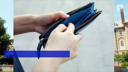 Study Explains Why So Many Americans Are Broke and Overweight