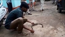 Il fait recracher à son serpent ce qu'il vient d'avaler