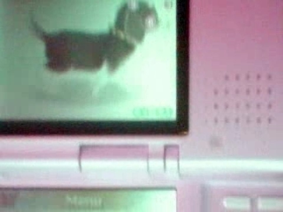 Moii qui vous presente mes chiens