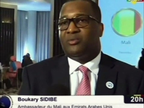 ORTM - La Cession de la grande commission mixte Mali - Emirats Arabes Unis se tiendra demain à Abou Dabi