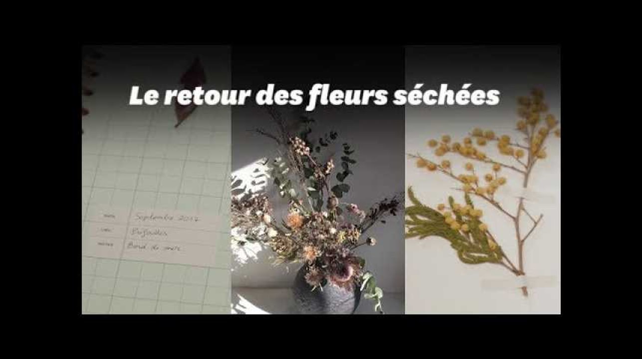 Des cadeaux de Noël intemporels? Pensez aux herbiers et fleurs séchées