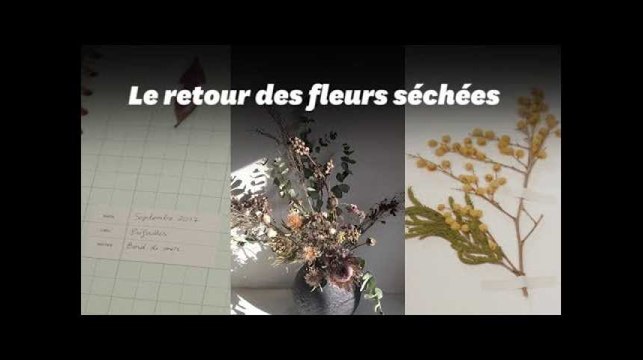 Des cadeaux de Noël intemporels? Pensez aux herbiers et fleurs séchées