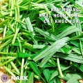 Cách làm NỘM RAU MUỐNG xanh mướt giòn ngon - Nauankhongkho.vn
