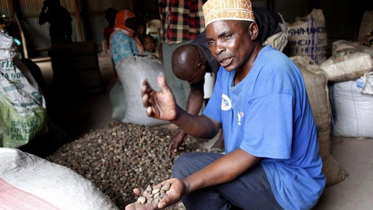 Nigeria : Amnesty dénonce un conflit meurtrier entre agriculteurs et éleveurs