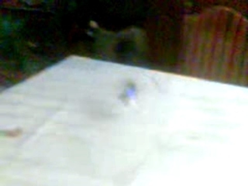 picooz1