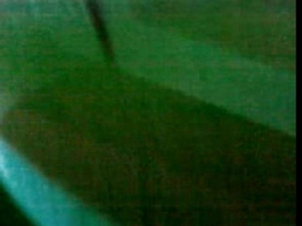 SV_A013