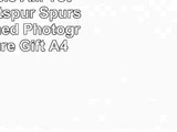 Signed Dele Alli Tottenham Hotspur Spurs Autographed Photograph Picture Gift A4