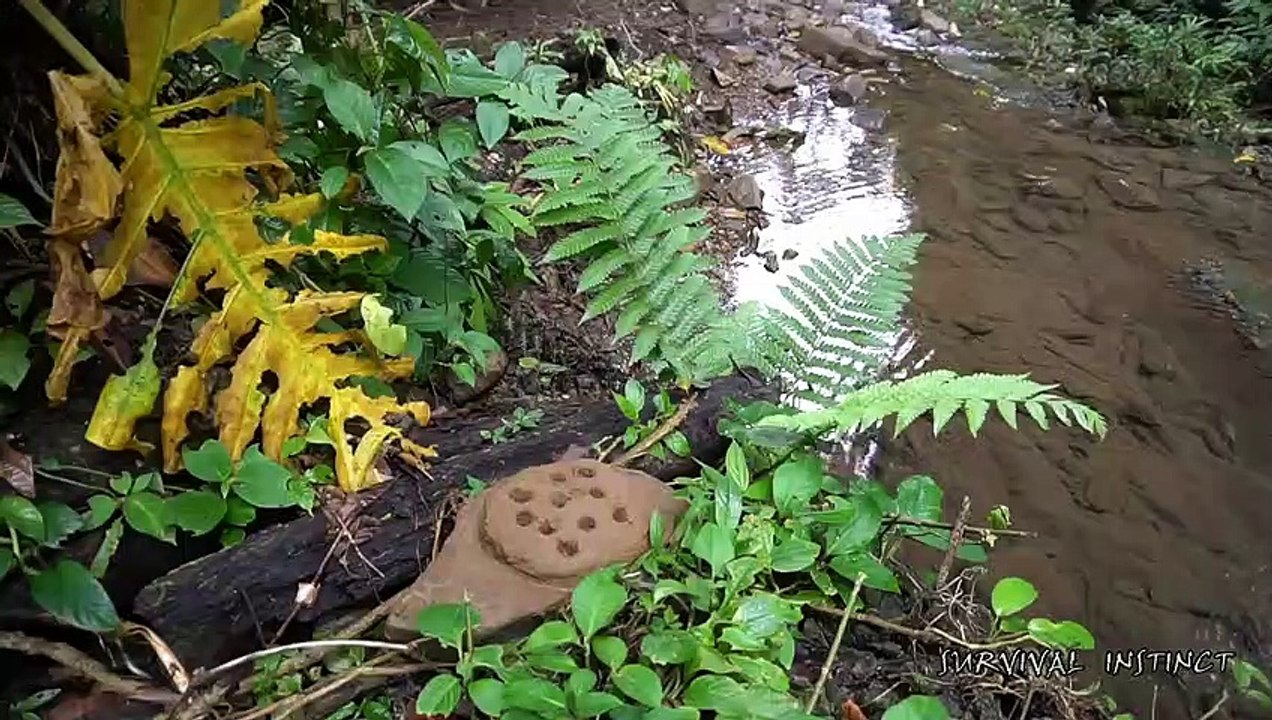 Survival Instinct - Alone with harsh wilderness