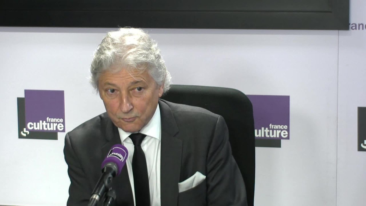 Dominique Rousseau : "Si vous oubliez les droits de l'homme, vous ne pouvez pas rentrer dans la démocratie"