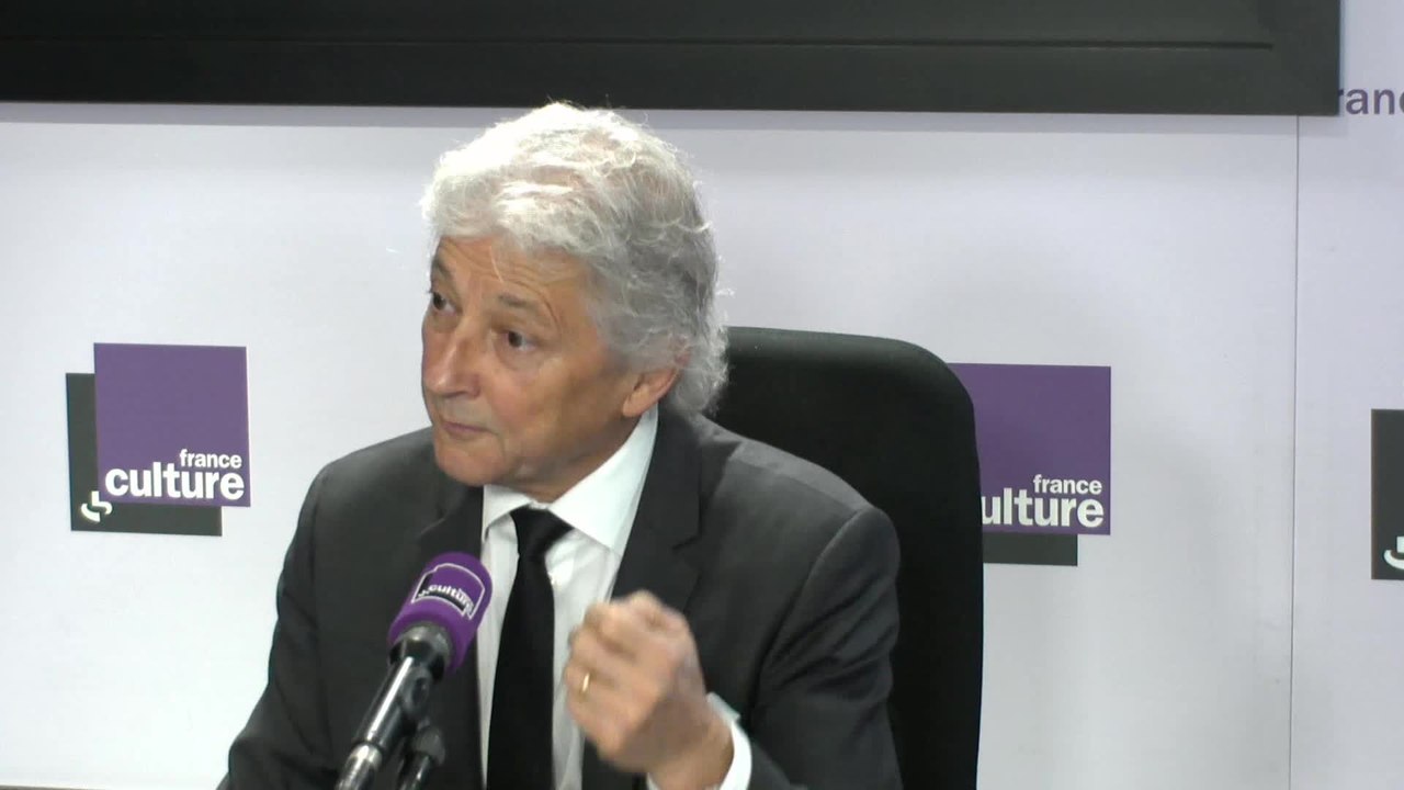 Dominique Rousseau : "Le vivre ensemble, c'est accepter la pluralité des conceptions de vie"