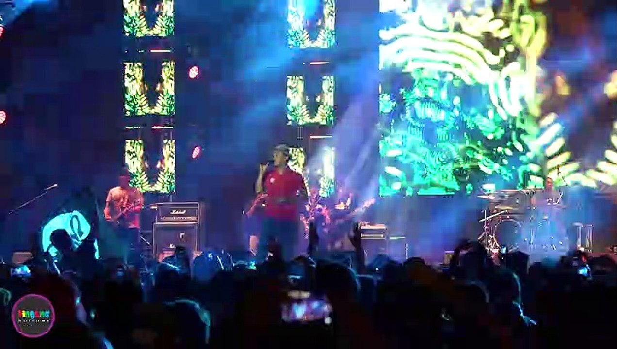 Di Sayidan - Shaggydog