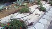 Garden drip irrigation system design and installation above at Landscape Fabric