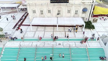 Fly over a Sikh temple or gurudwara- Bangla Sahib aerial view