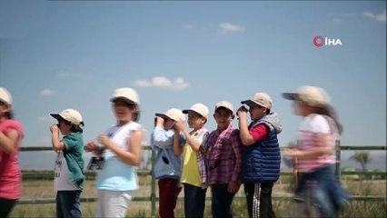Türkiye ve Dünya'da bir ilk olacak...Doğa fotoğrafçıları ve gözlemciler yeni fotoğraf türlerini görüntülemek için yarışacak
