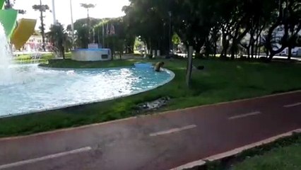Homem toma banho em chafariz na Praça do Migrante