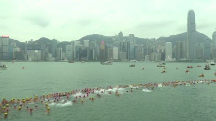 Ils nagent par milliers dans la baie de Hong Kong pour une course d'un kilomètre