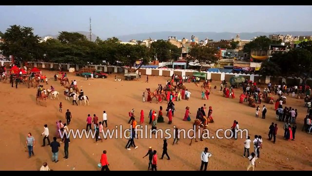 Rajasthan famous Pushkar Camel Fair as seen from the sky