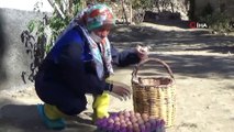 Kadın girişimci günde 100 kilometre yol yapıp yumurta satarak geçimini sağlıyor