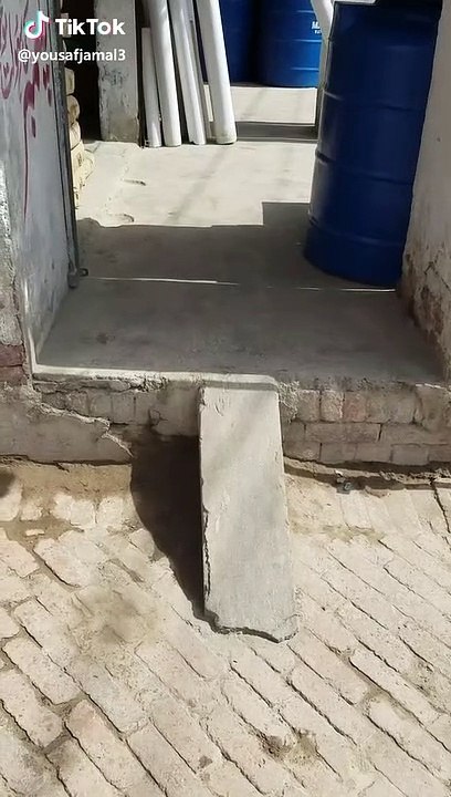 Funny Video for Lovers