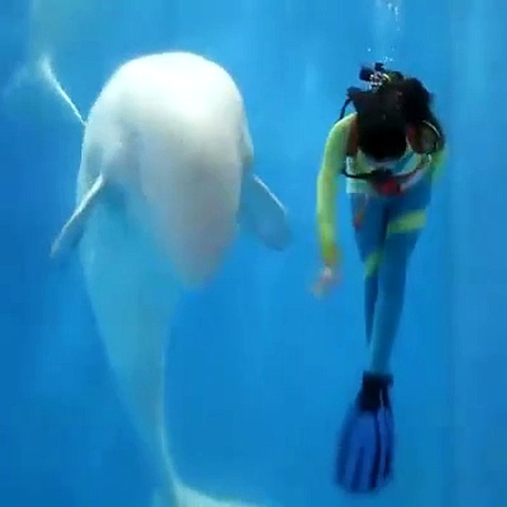 Its best fish dance.