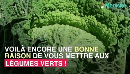 Manger des légumes verts permet de réduire la graisse autour du foie