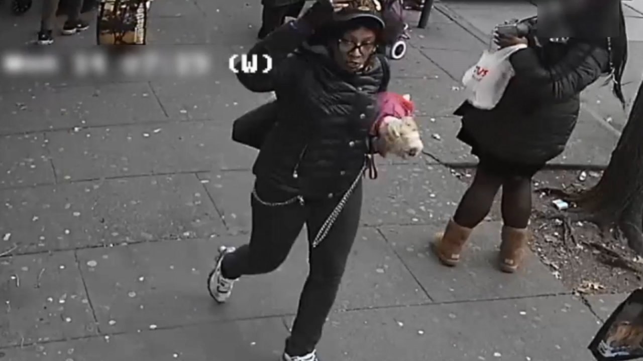 Police Hunt For Woman Who Slashed New York Bus Passengers