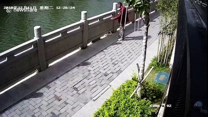 Shocking moment as Chinese man kicks cat into river