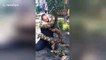 Python wraps itself around fireman’s head as safety demonstration goes wrong