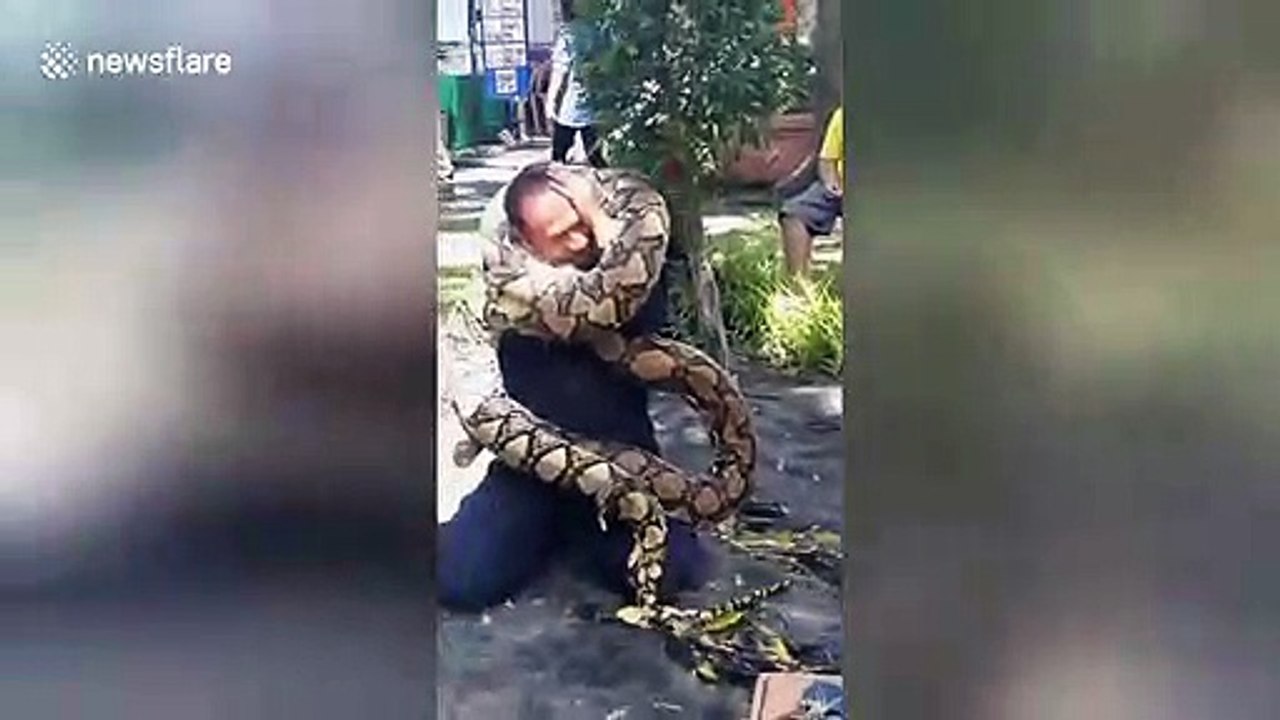 Python wraps itself around fireman’s head as safety demonstration goes wrong