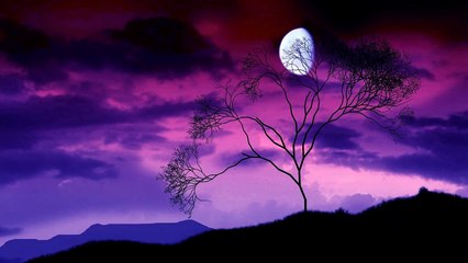 Ο Μπάσταρδος Γιος - Φοίβος Δεληβοριάς